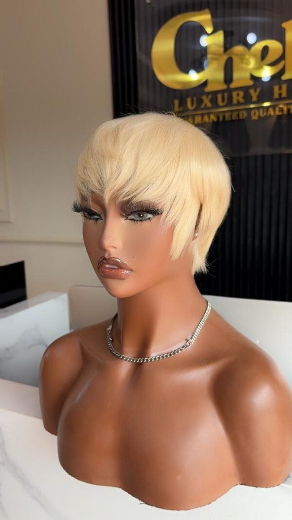 All Round Pixie Cut (Blonde)